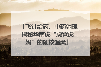 飞针给药、中药调理 揭秘华南虎“虎爸虎妈”的硬核温柔