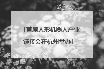 首届人形机器人产业链接会在杭州举办