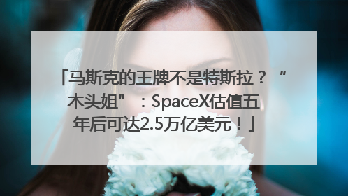 马斯克的王牌不是特斯拉？“木头姐”：SpaceX估值五年后可达2.5万亿美元！