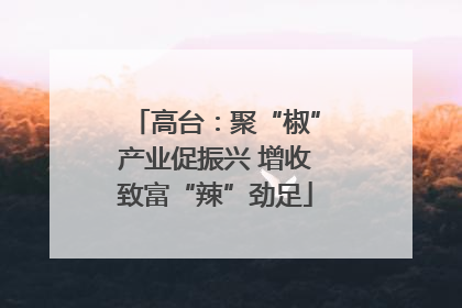 高台：聚“椒”产业促振兴 增收致富“辣”劲足