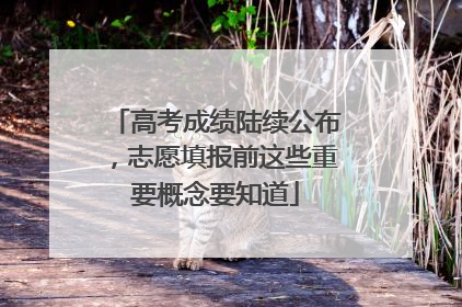 高考成绩陆续公布，志愿填报前这些重要概念要知道
