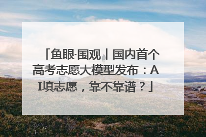 鱼眼·围观丨国内首个高考志愿大模型发布：AI填志愿，靠不靠谱？