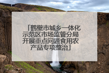 鹤壁市城乡一体化示范区市场监管分局开展重点问题食用农产品专项整治