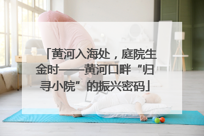 黄河入海处，庭院生金时——黄河口畔“归寻小院”的振兴密码
