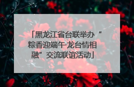黑龙江省台联举办“粽香迎端午·龙台情相融”交流联谊活动