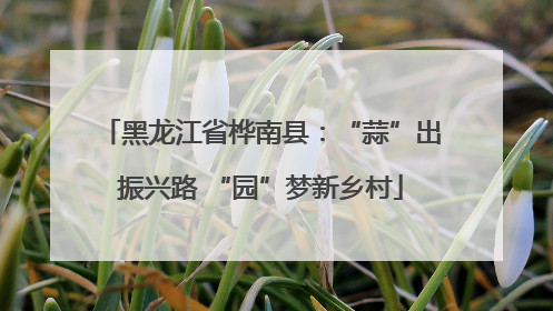 黑龙江省桦南县：“蒜”出振兴路 “园”梦新乡村