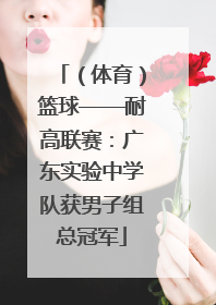 （体育）篮球——耐高联赛：广东实验中学队获男子组总冠军