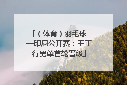 （体育）羽毛球——印尼公开赛：王正行男单首轮晋级