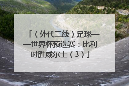 （外代二线）足球——世界杯预选赛：比利时胜威尔士（3）