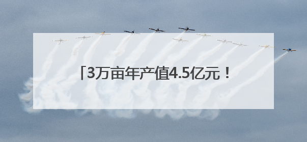 3万亩年产值4.5亿元！喻屯甜瓜为何这么“甜”