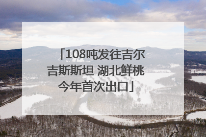 108吨发往吉尔吉斯斯坦 湖北鲜桃今年首次出口
