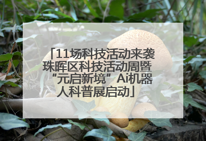 11场科技活动来袭 珠晖区科技活动周暨“元启新境”Ai机器人科普展启动