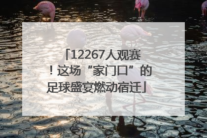 12267人观赛！这场“家门口”的足球盛宴燃动宿迁