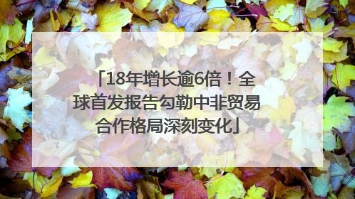 18年增长逾6倍！全球首发报告勾勒中非贸易合作格局深刻变化