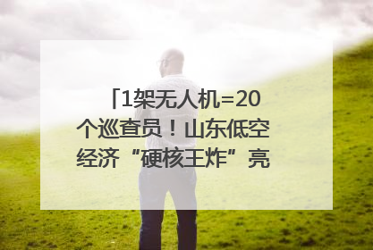 1架无人机=20个巡查员！山东低空经济“硬核王炸”亮相青岛，下一个万亿赛道藏在这里