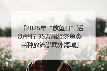 2025年“放鱼日”活动举行 35万尾经济鱼类苗种放流崇武外海域