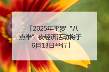 2025年平罗“八点半”夜经济活动将于6月13日举行
