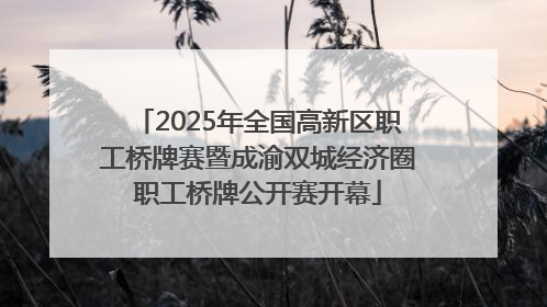 2025年全国高新区职工桥牌赛暨成渝双城经济圈职工桥牌公开赛开幕