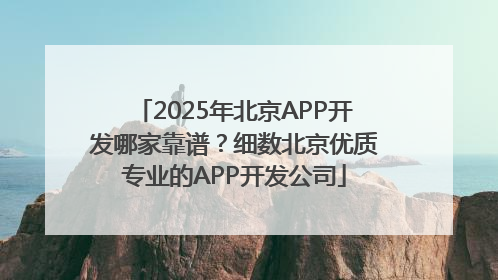 2025年北京APP开发哪家靠谱？细数北京优质专业的APP开发公司
