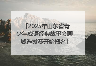 2025年山东省青少年成语经典故事会聊城选拔赛开始报名