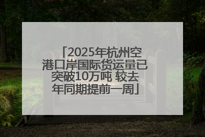2025年杭州空港口岸国际货运量已突破10万吨 较去年同期提前一周