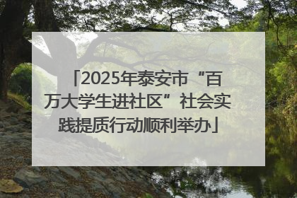 2025年泰安市“百万大学生进社区”社会实践提质行动顺利举办