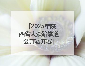 2025年陕西省大众跆拳道公开赛开赛