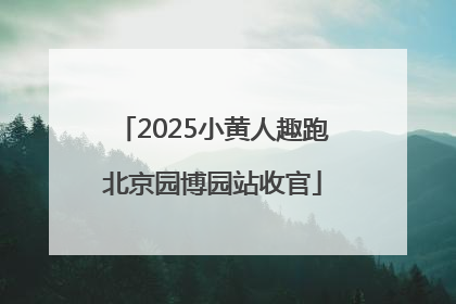 2025小黄人趣跑北京园博园站收官