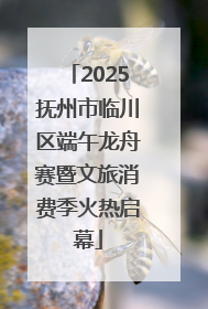 2025抚州市临川区端午龙舟赛暨文旅消费季火热启幕