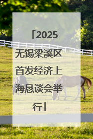 2025无锡梁溪区首发经济上海恳谈会举行