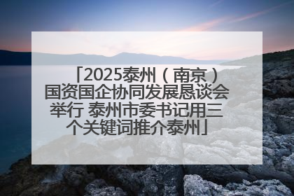 2025泰州（南京）国资国企协同发展恳谈会举行 泰州市委书记用三个关键词推介泰州