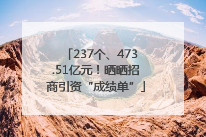 237个、473.51亿元！晒晒招商引资“成绩单”