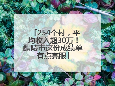 254个村，平均收入超30万！醴陵市这份成绩单有点亮眼
