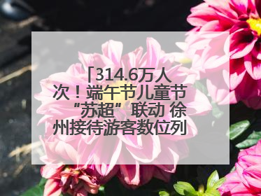 314.6万人次！端午节儿童节“苏超”联动 徐州接待游客数位列全省第四！