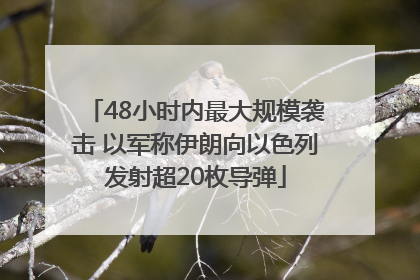 48小时内最大规模袭击 以军称伊朗向以色列发射超20枚导弹