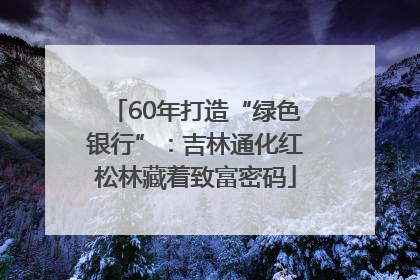 60年打造“绿色银行”：吉林通化红松林藏着致富密码