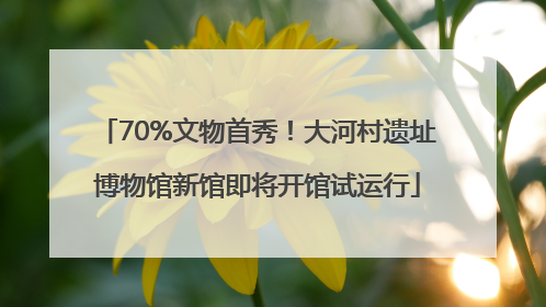 70%文物首秀！大河村遗址博物馆新馆即将开馆试运行