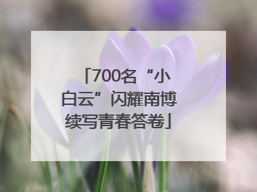 700名“小白云”闪耀南博续写青春答卷