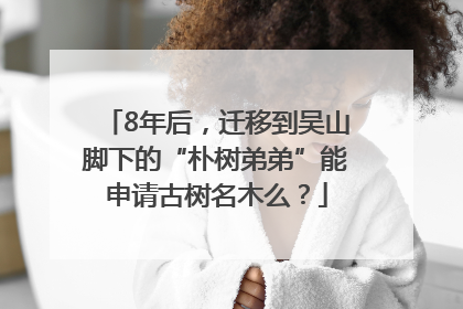 8年后，迁移到吴山脚下的“朴树弟弟”能申请古树名木么？