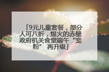 9元儿童套餐，部分人可八折，爆火的赤壁政府机关食堂端午“宠粉” 再升级