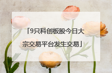 9只科创板股今日大宗交易平台发生交易