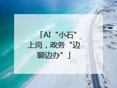AI“小石”上岗，政务“边聊边办”