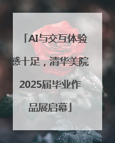AI与交互体验感十足，清华美院2025届毕业作品展启幕