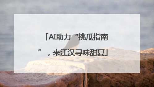 AI助力“挑瓜指南”，来江汉寻味甜夏