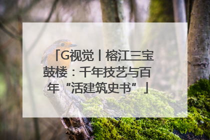 G视觉丨榕江三宝鼓楼：千年技艺与百年“活建筑史书”