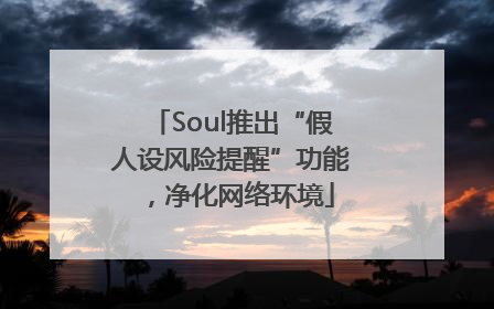Soul推出“假人设风险提醒”功能，净化网络环境