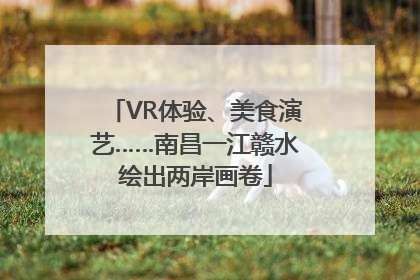 VR体验、美食演艺……南昌一江赣水绘出两岸画卷